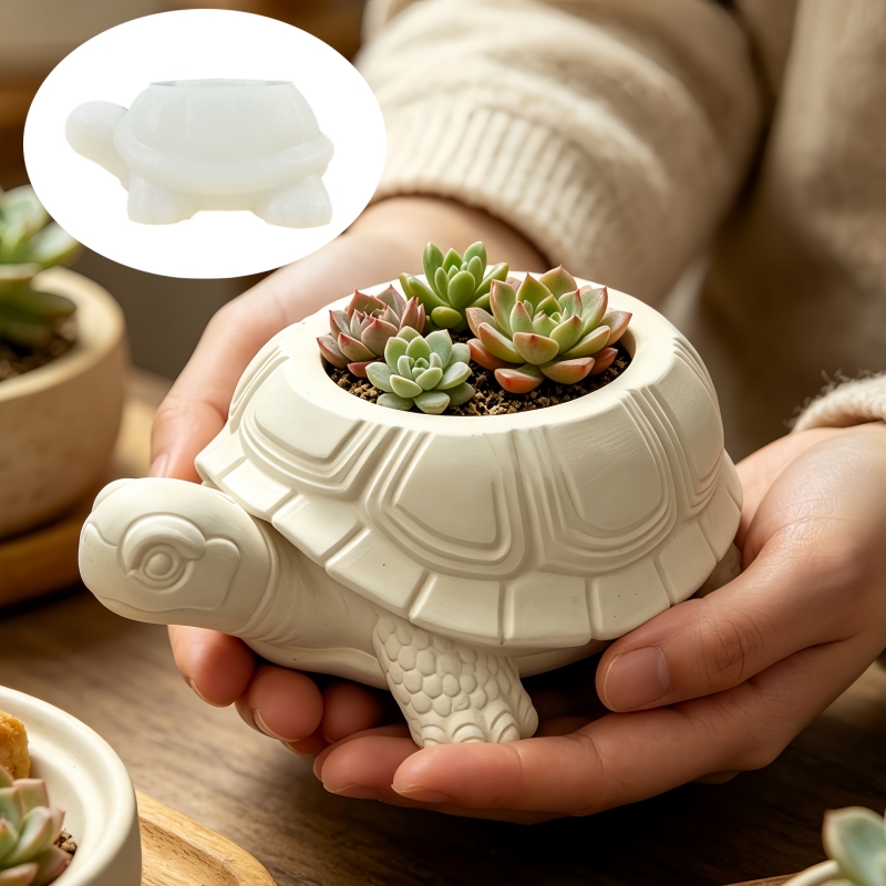 Schildkrötenförmige Sukkulente – Potsticker Mold Bewertung und Preis